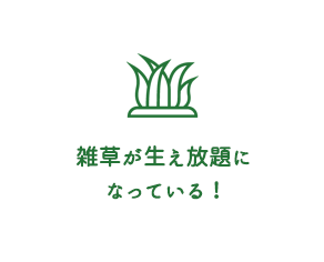 雑草が生え放題になっている！