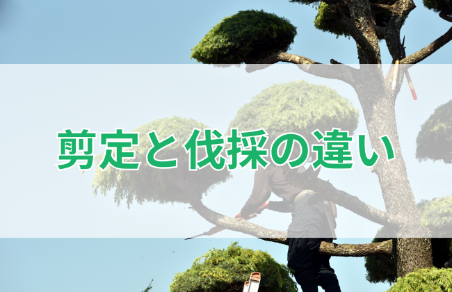 剪定と伐採の違い