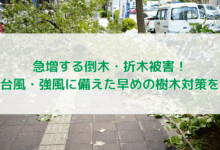 急増する倒木・折木被害！台風・強風に備えた早めの樹木対策を